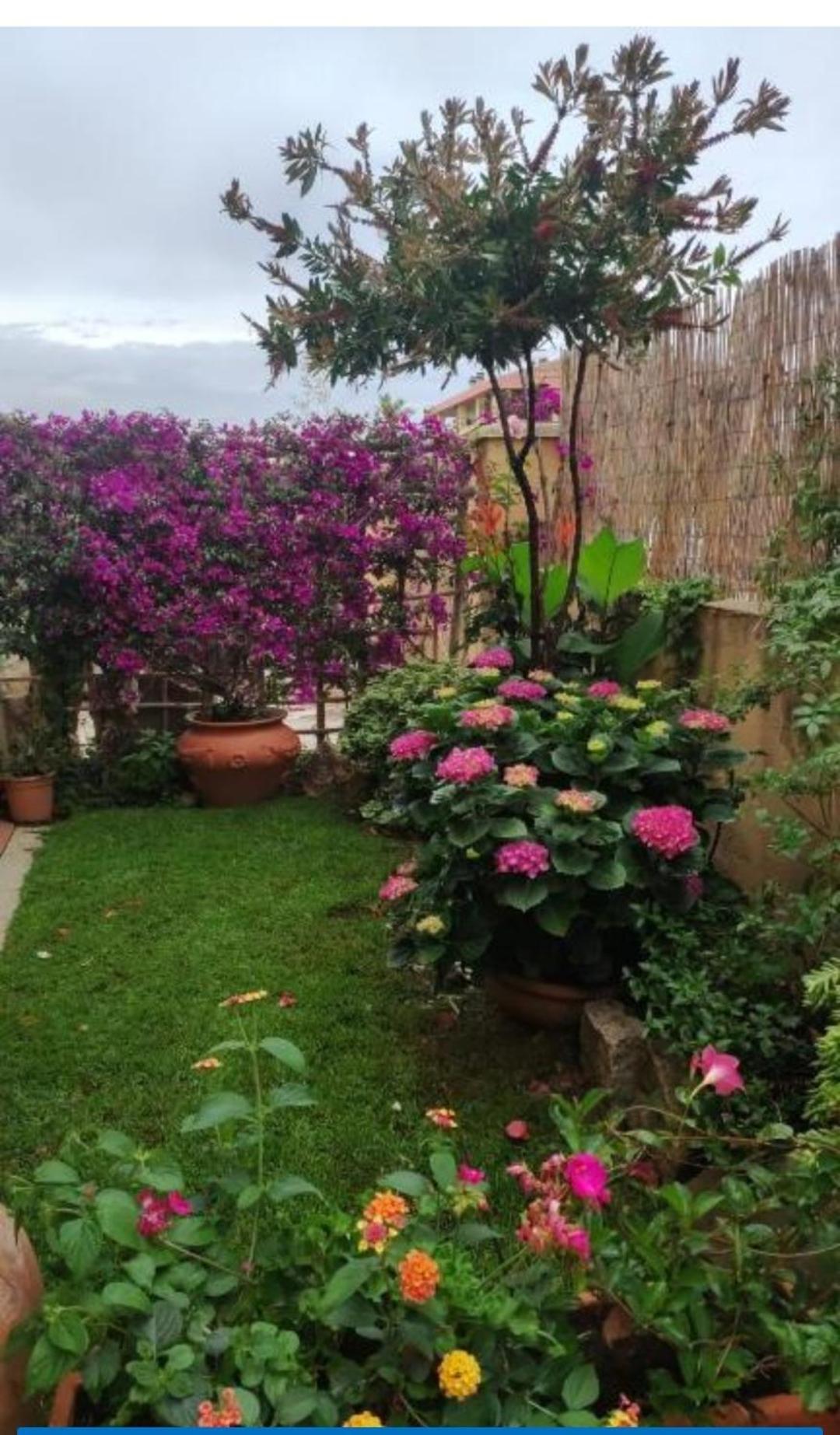 Ferienwohnung La Casa Di Luca Olbia Exterior foto